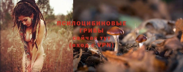 каннабис Елизово
