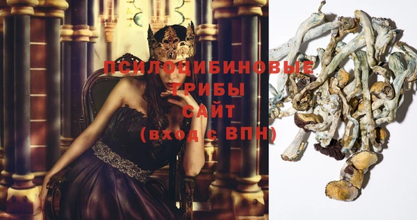 каннабис Елизово